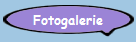 Fotogalerie