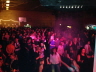 Lipp14026