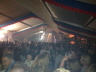 Roet14 026